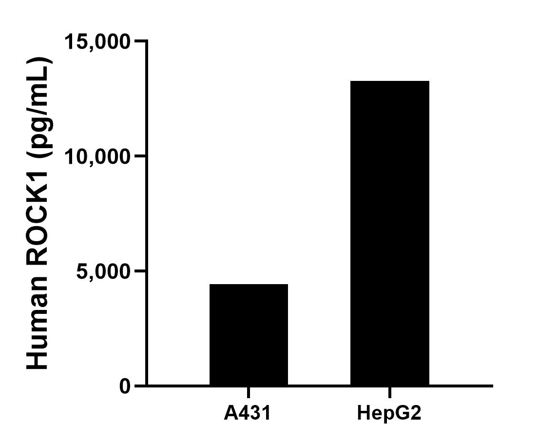 Sample test of MP00229-3